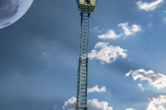 35-BIS