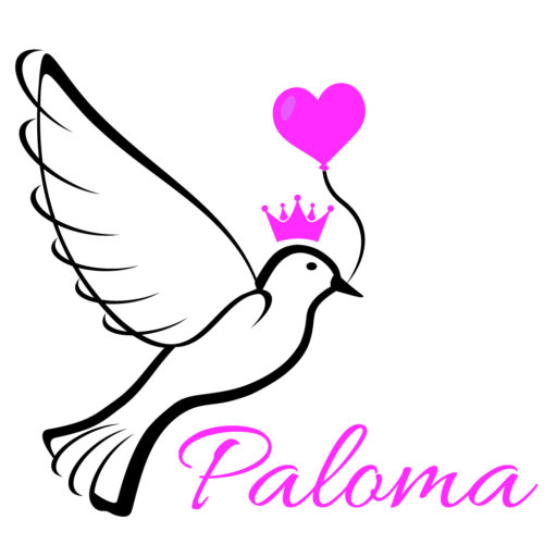  le Rallye des Gazelles au Maroc